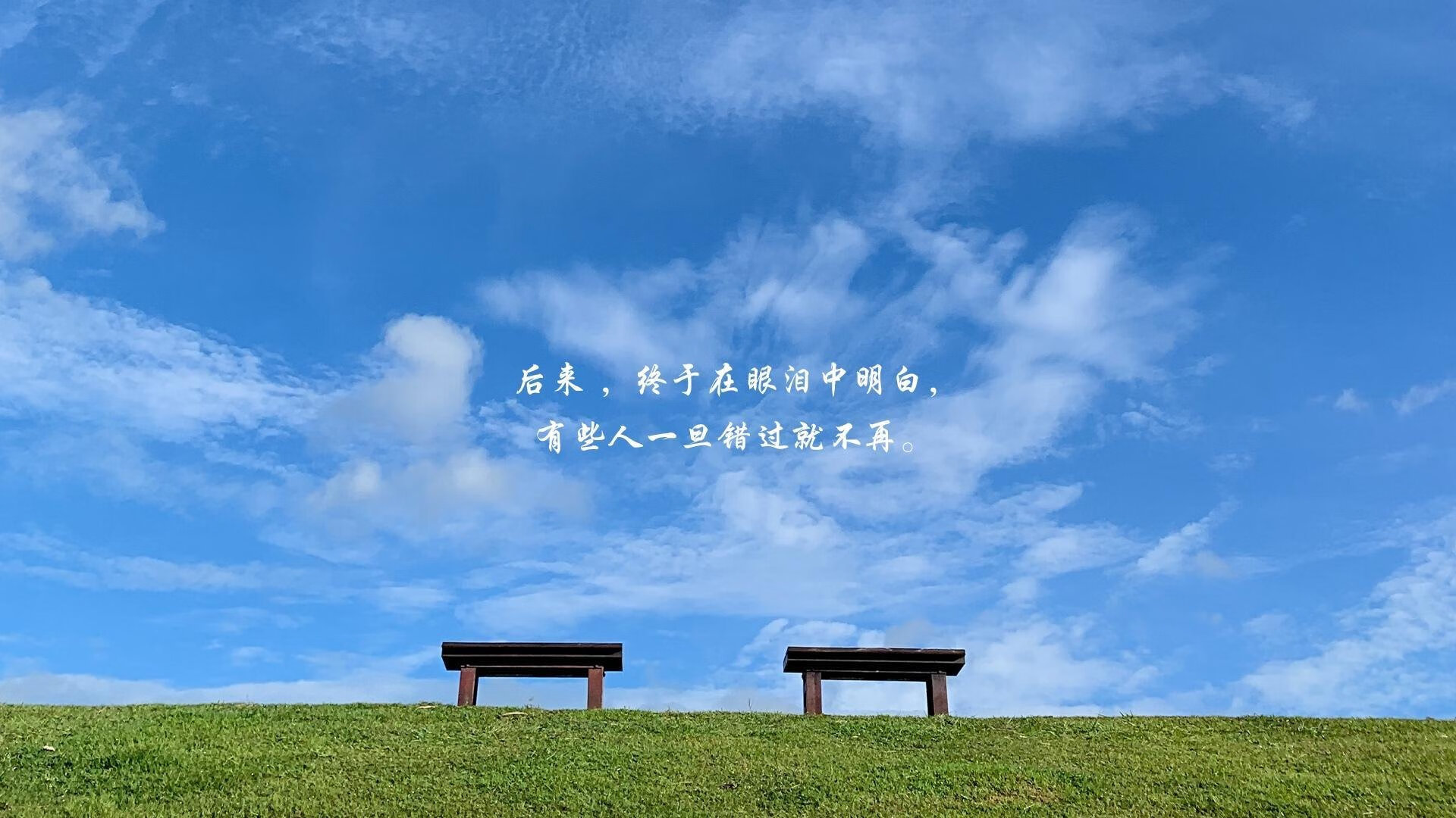 200蝶终点冲刺动作节奏解析