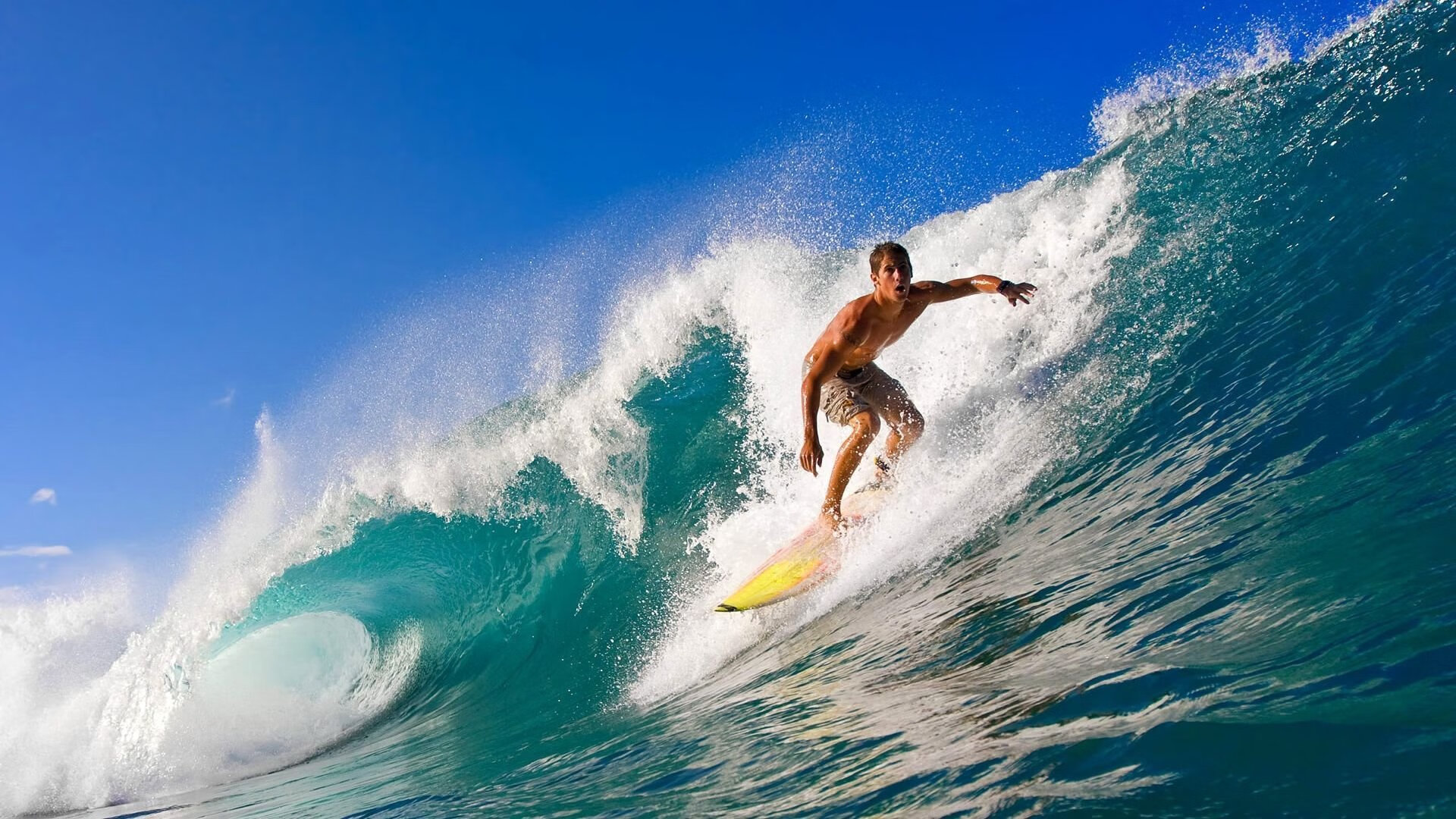 世界游泳锦标赛中国队屡创佳绩,夺得多项金牌,世界游泳锦标赛中国队屡创佳绩,夺得多项金牌